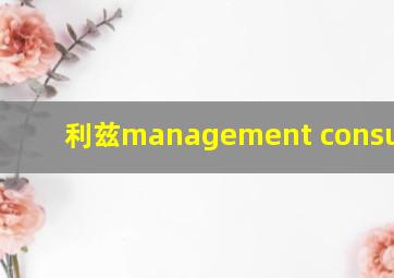 利兹management consulting